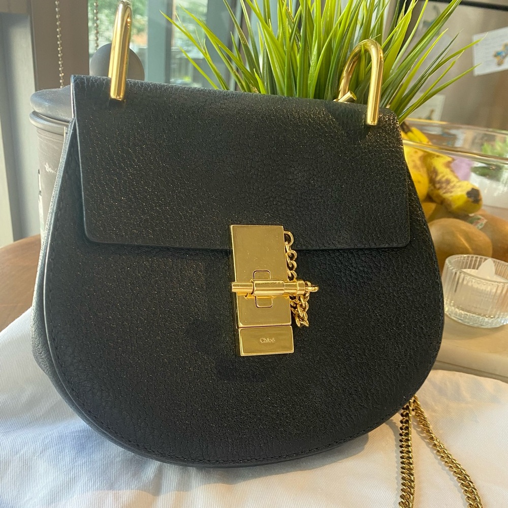 Gorgeous Chloe Drew Mini Bag